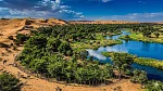 Le Sahara peut être modifié avec la volonté de l'homme, sa régénération avec la solution scientifique par la forêt |